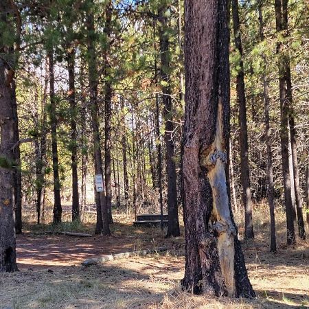 Diamondstone Guest Lodges La Pine Exteriör bild